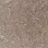 Crystalline Embellished Andradite Embellished