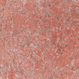 Crystalline Embellished Anthozoa Embellished