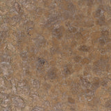 Crystalline Embellished Pyrite Embellished